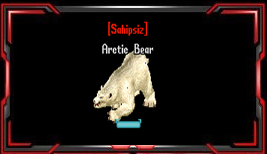 Artic bear