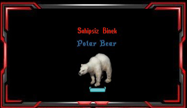 Polar Bear