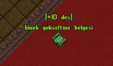 Binek Yükseltme 10lu